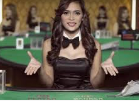 旺财28.ccpc29APP免费版